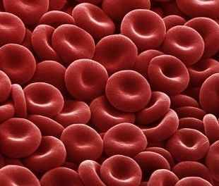 What disease is a result of low red blood cell count and low hemoglobin?