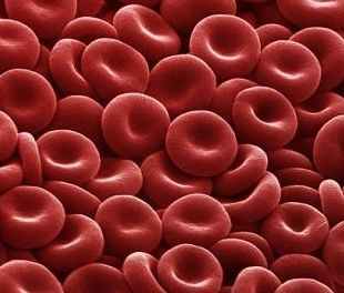 Red Cell (RBC) Count Low High - MedFriendly.com